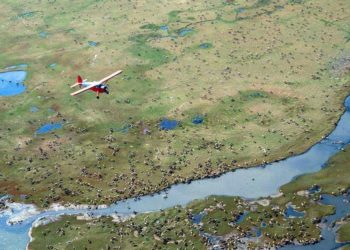 US approves oil leasing plan for Alaska’s Arctic National Wildlife Refuge – News – capecodtimes.com
