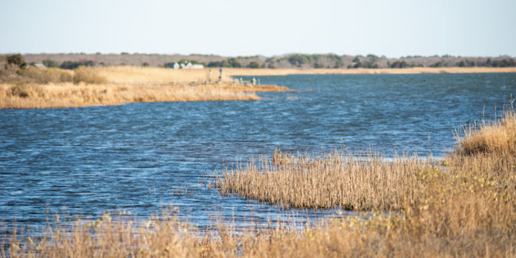 The Vineyard Gazette – Martha’s Vineyard News