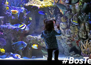 10 best events, things to do in Boston this weekend: March 4-7, 2021