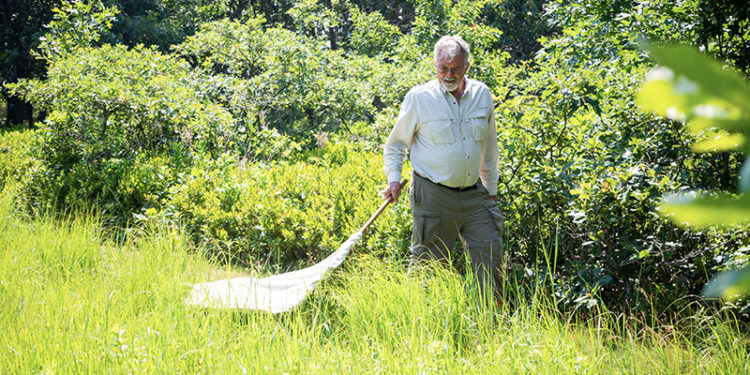 The Vineyard Gazette – Martha’s Vineyard News
