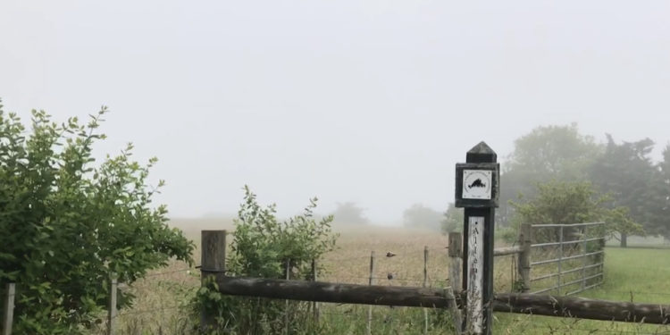 Sixteen Things to Do on a Rainy Day – Martha’s Vineyard