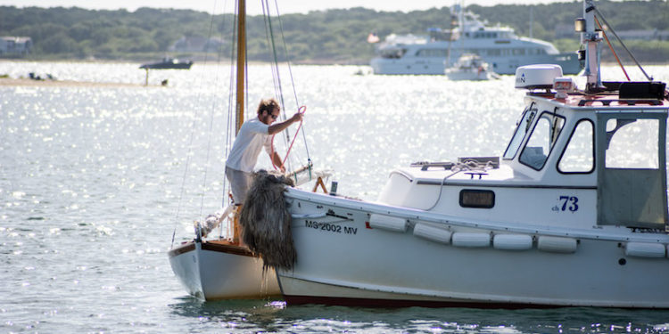 The Vineyard Gazette – Martha’s Vineyard News