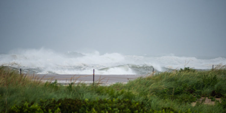 The Vineyard Gazette – Martha’s Vineyard News