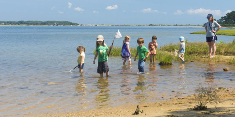 The Vineyard Gazette – Martha’s Vineyard News