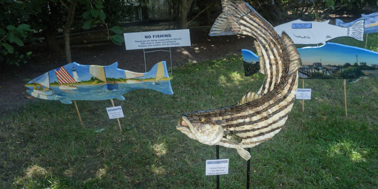 The Vineyard Gazette – Martha’s Vineyard News