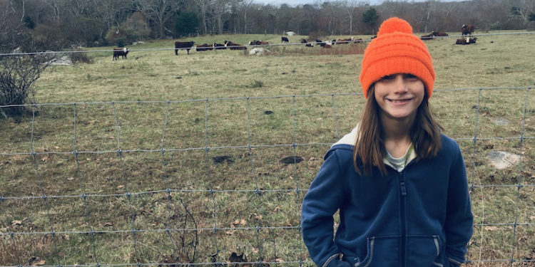 The Vineyard Gazette – Martha’s Vineyard News