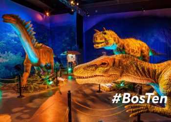 10 best events, things to do in Boston Thanksgiving weekend 2021