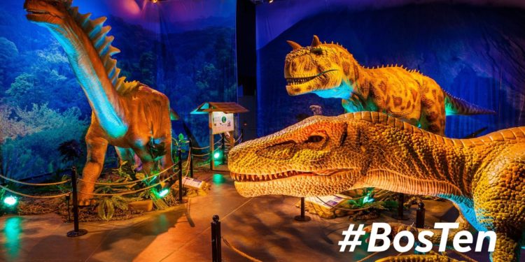 10 best events, things to do in Boston Thanksgiving weekend 2021