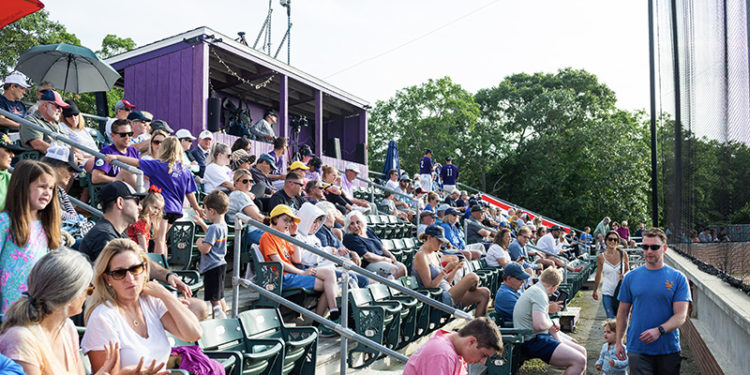 The Vineyard Gazette – Martha’s Vineyard News