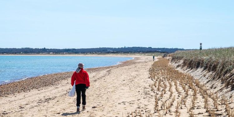 The Vineyard Gazette – Martha’s Vineyard News