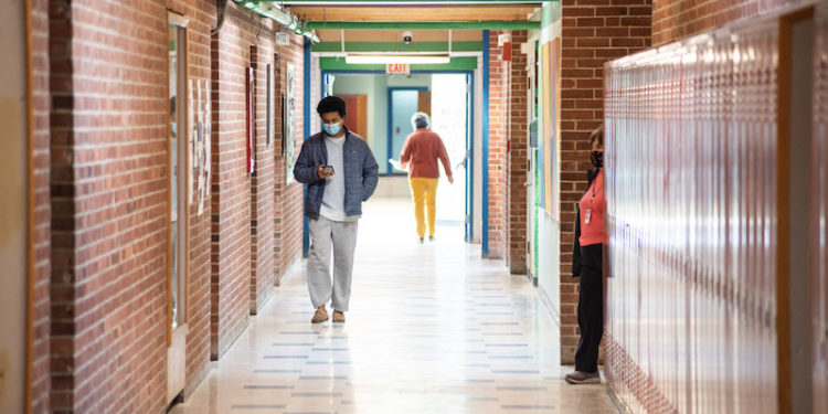 The Vineyard Gazette – Martha’s Vineyard News