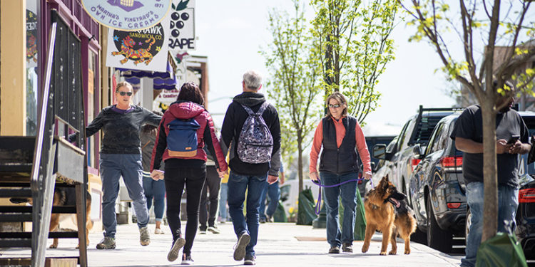 The Vineyard Gazette – Martha’s Vineyard News