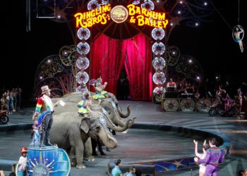 Ringling is returning with an animal-free circus. Will you go?