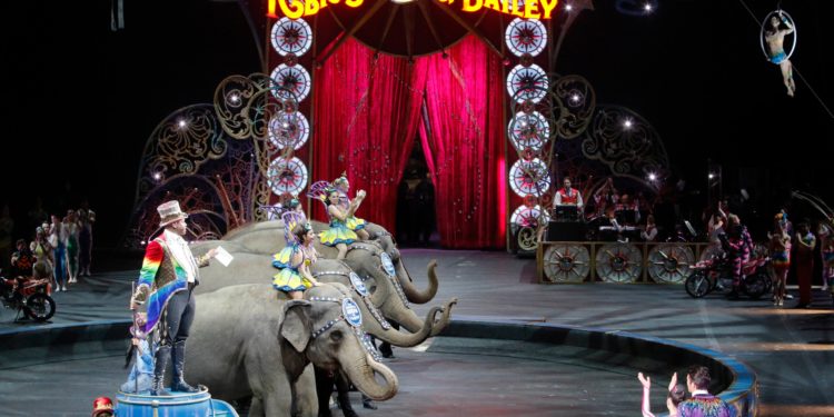 Ringling is returning with an animal-free circus. Will you go?