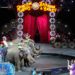 Ringling is returning with an animal-free circus. Will you go?