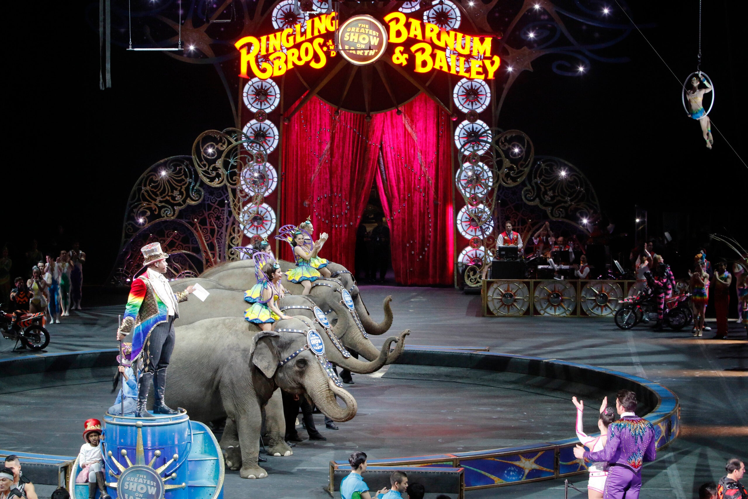 Ringling is returning with an animalfree circus. Will you go? The