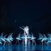 View the return of Boston Ballet’s Swan Lake