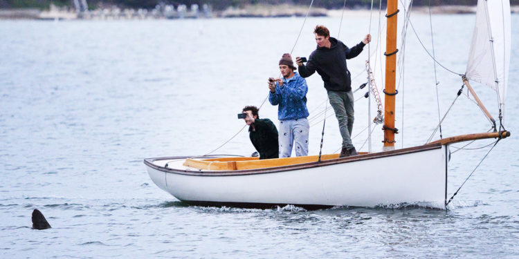 The Vineyard Gazette – Martha’s Vineyard News