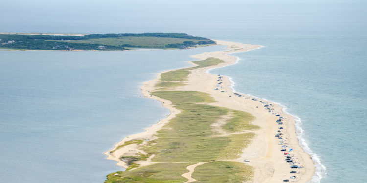 The Vineyard Gazette – Martha’s Vineyard News