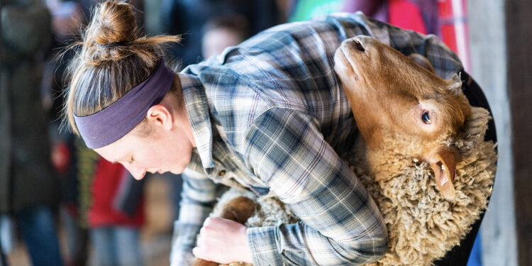 The Vineyard Gazette – Martha’s Vineyard News