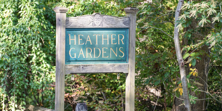 The Vineyard Gazette – Martha’s Vineyard News
