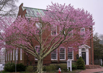 The Vineyard Gazette – Martha’s Vineyard News