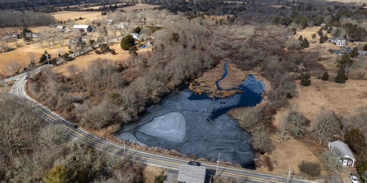 The Vineyard Gazette – Martha’s Vineyard News